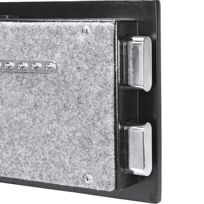 0.75 Cu. ft Biometric Fireproof Security Safe, Black | AX13498